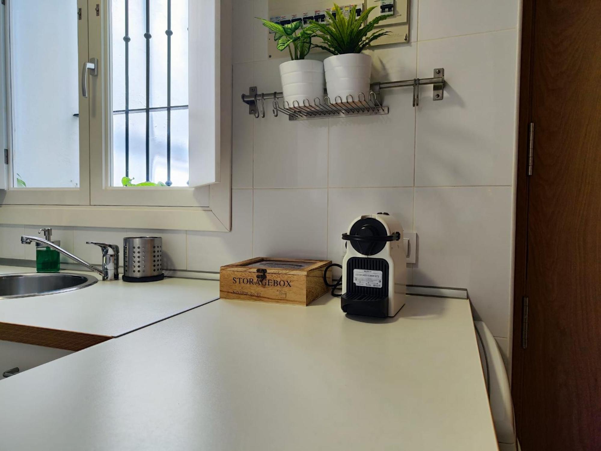 Suite Del Mercado Little Apartments Cádiz Kültér fotó